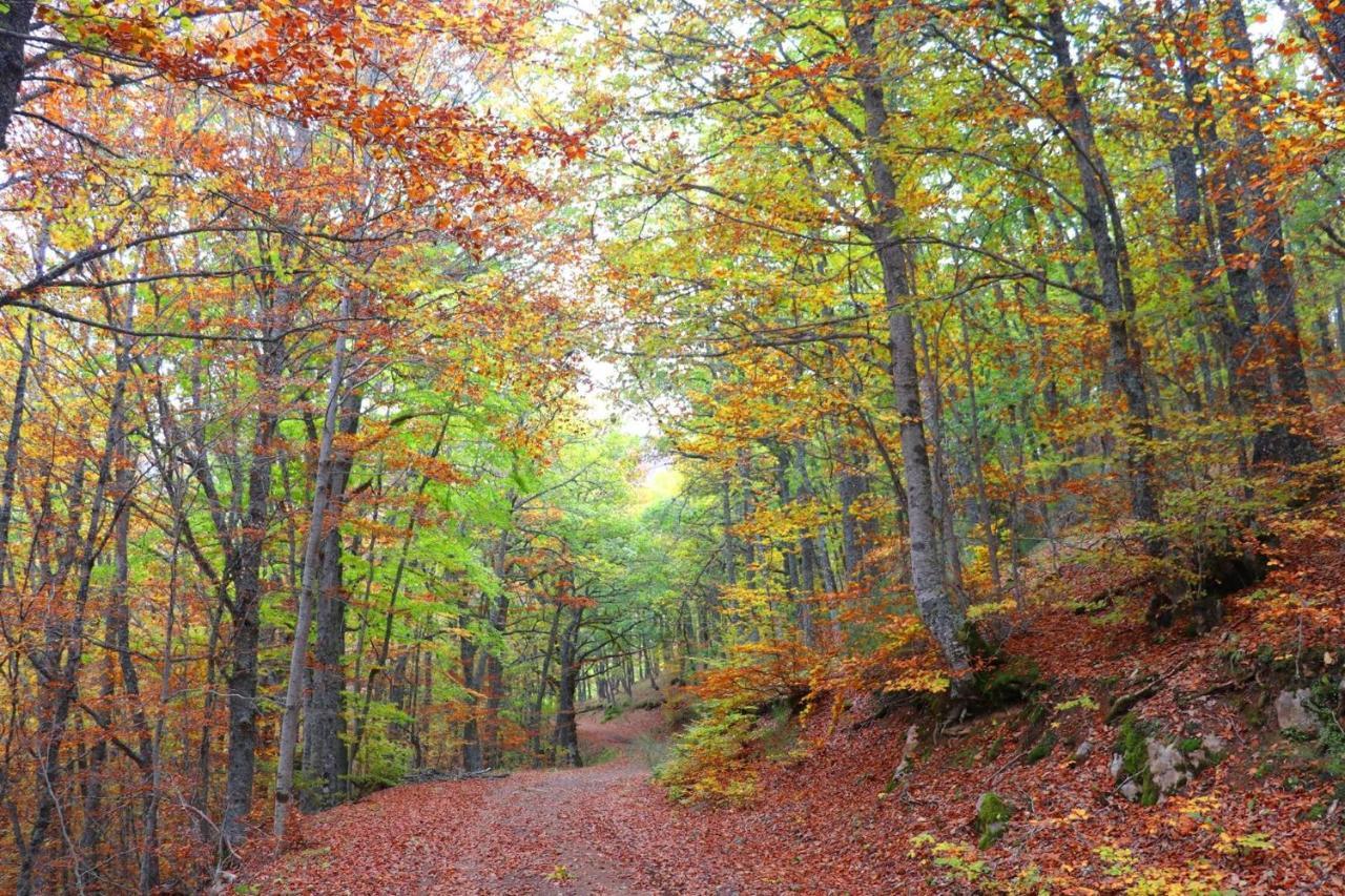 El Rincon De Golobar En Браньосера Экстерьер фото